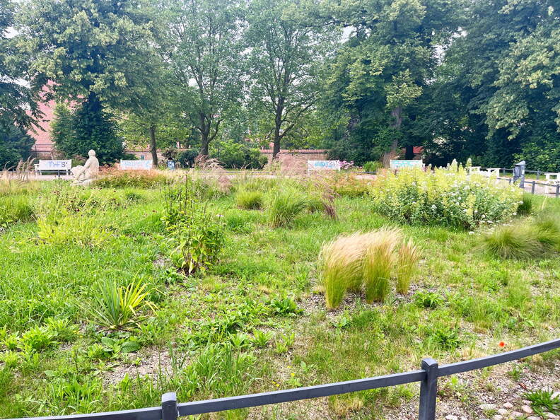 24-06-28 10-51-24 9971